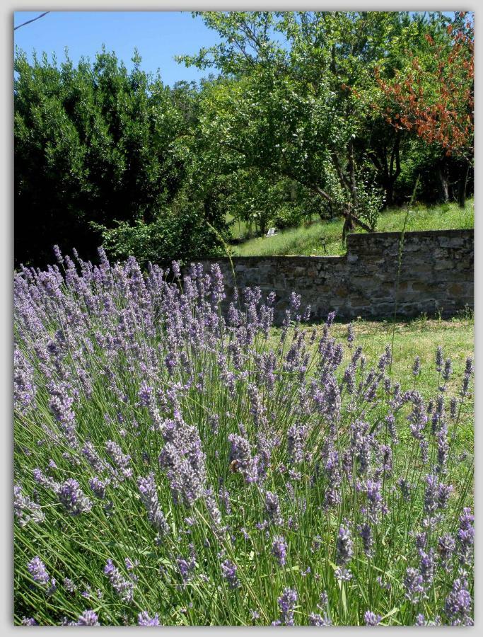Cascina Luvot Melazzo Exterior foto
